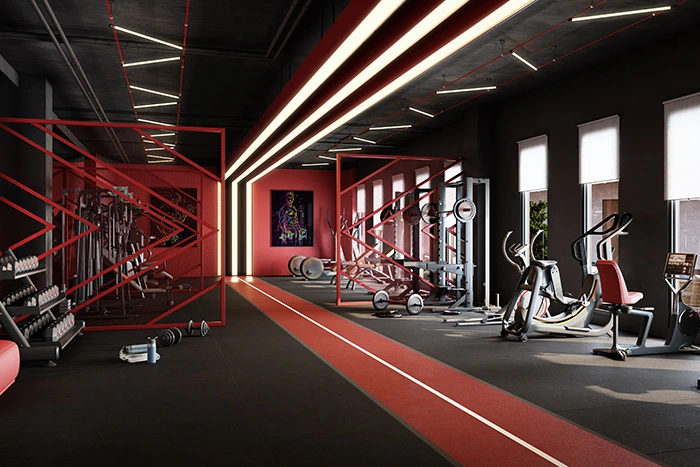 Gymnasium